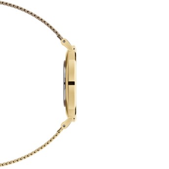 Orologio Donna DANIEL WELLINGTON Petite Evergold White 32 mm - DW00100348