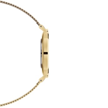 Orologio Donna DANIEL WELLINGTON Petite Evergold White 28 mm - DW00100350