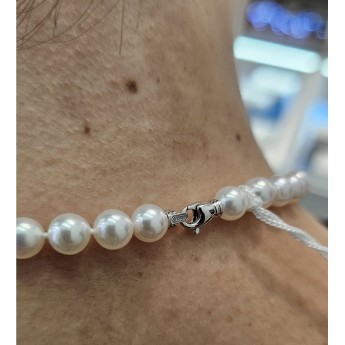 Collana Donna NIMEI Perle Akoya - 1NPS775.42NL