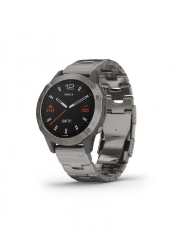 fenix smartwatch