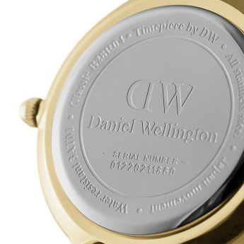 Orologio Donna DANIEL WELLINGTON Petite Evergold - DW00100347