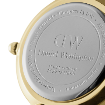 Orologio Donna Daniel Wellington DW00100350 solo tempo 28 mm con movimento al quarzo collezione Petite Evergold