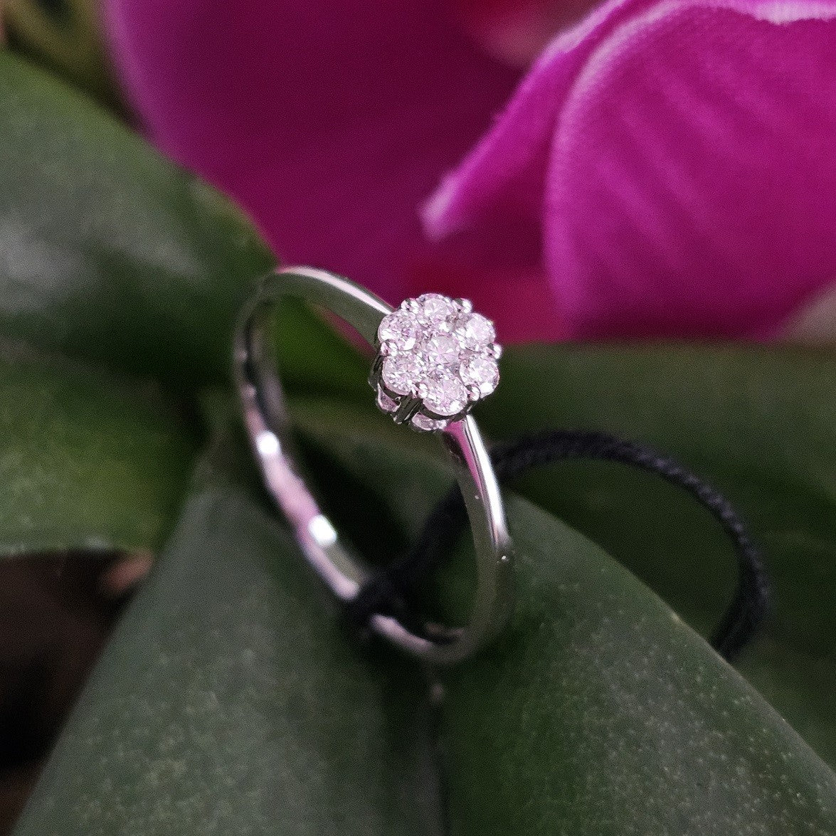Anello Donna GIORGIO VISCONTI Antologie - ABX12293/0.09 - immagine 4