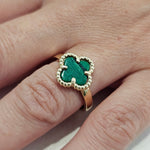 Anello Donna in ORO 750 (18KT) - 1479.AN505X62M8