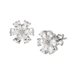 Orecchini Donna AMEN Stardust - EDABBZ