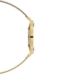 Orologio Donna DANIEL WELLINGTON Petite Evergold 28 mm - DW00100350 - immagine 2