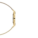 Orologio Uomo DANIEL WELLINGTON Petite Evergold - DW00100345 - immagine 3