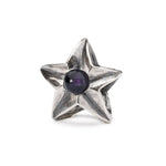 Beads Trollbeads TAGBE-00267   “Stella dell’Equilibrio”  in argento 925 e pietra preziosa